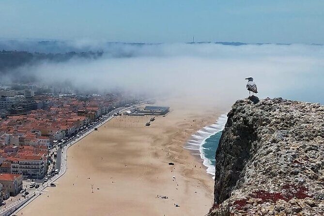 Excursion from Lisbon to Fátima Grutas Nazaré and Óbidos - Practical Details & What You Can Expect