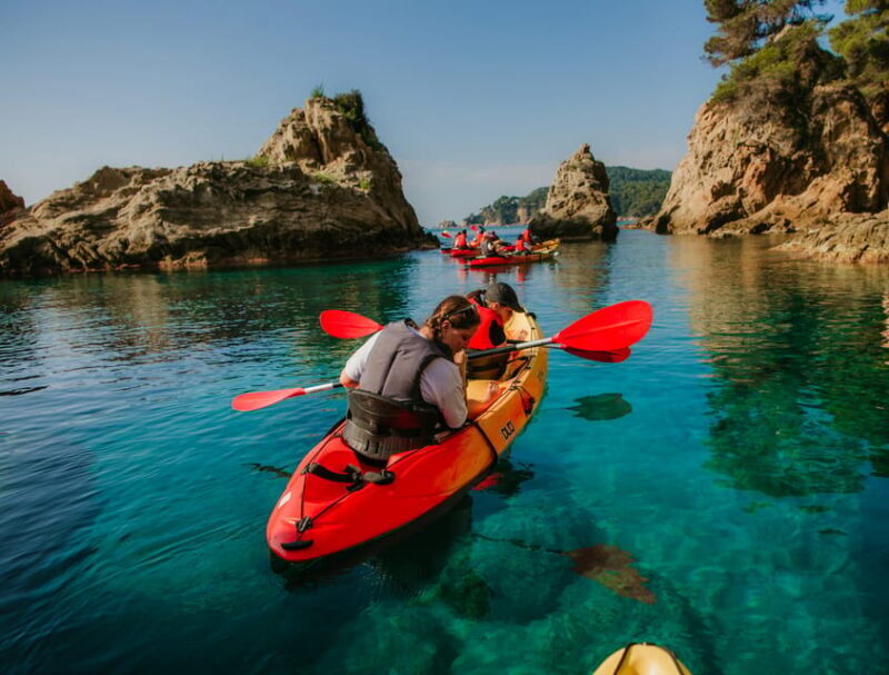 EXCURSION GUIADA EN KAYAK - INICIACIÓN 1h 15m - A Closer Look at the Kayak Tour