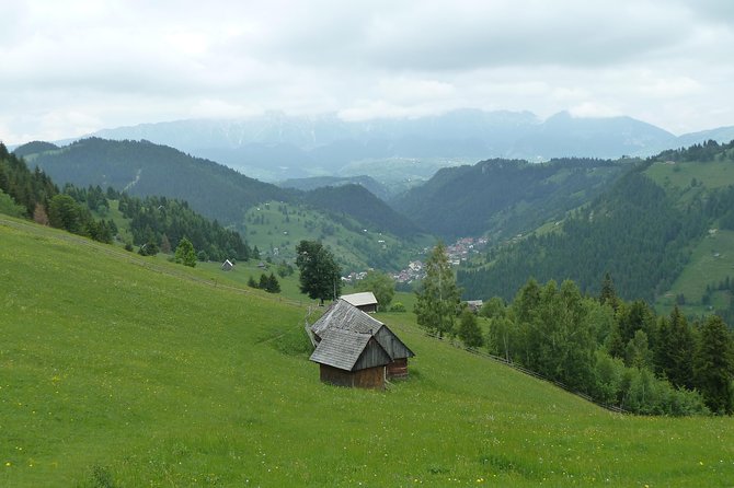 Excursion in Moeciu De Sus (Recommended for Families) With Native Spanish Guide. - Health and Accessibility Considerations