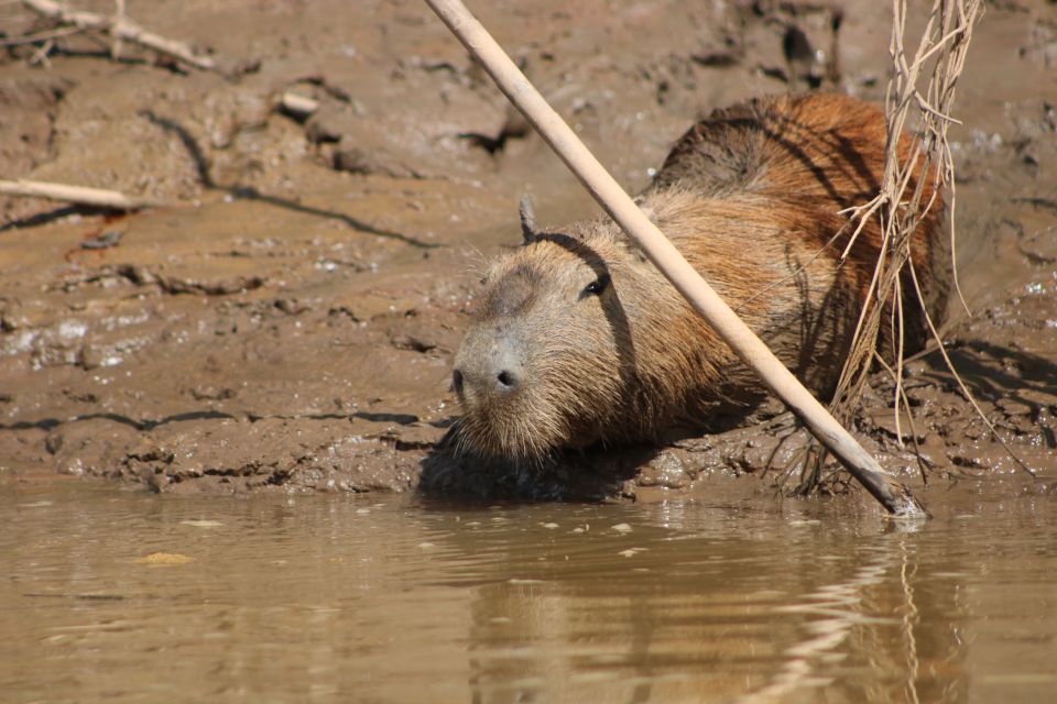 Excursion in the Amazon 4d /3 Nights - Daily Itinerary