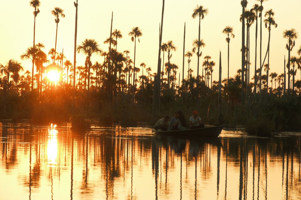 Excursion in the Amazon 4d /3 Nights - Savings and Flexibility