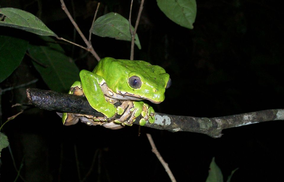 Excursion in the Amazon 4d /3 Nights - Stunning Landscapes and Wildlife