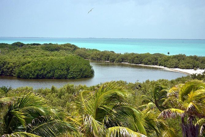 Excursion Isla Contoy & Isla Mujeres from Cancun - Final Words