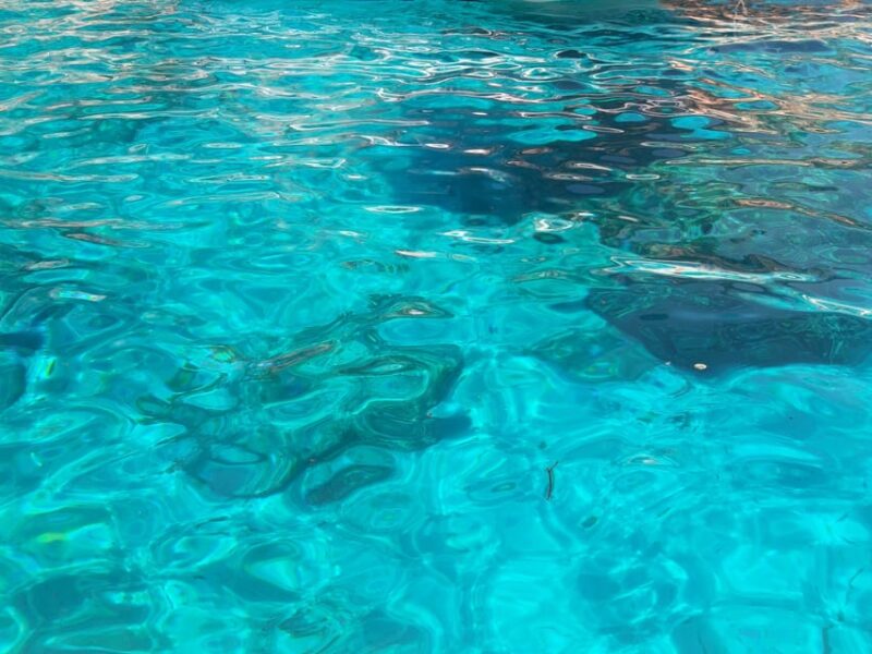 EXCURSION OF THE GULF OF OROSEI WITH INFLATABLE - Pricing and Reservations