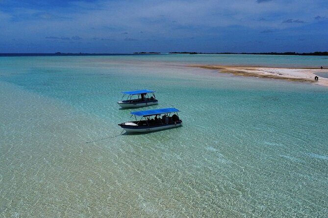 Excursion The Blue Lagoon and Reef Island - Key Points