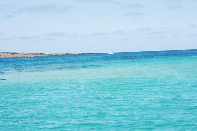 Excursion to Asinara Stintino La Pelosa National Park - Summing It Up: Is It Worth It?