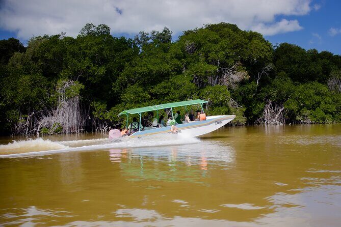 Excursion to Celestun Biosphere and Beach Day from Merida - Who Should Consider This Tour?