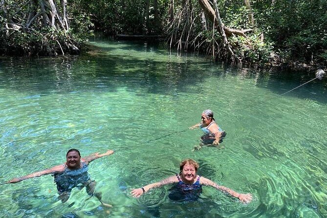 Excursion to Celestun, Swimming, Hiking & Boat Ride - Exploring the Magic of Celestún: A Comprehensive Tour Review