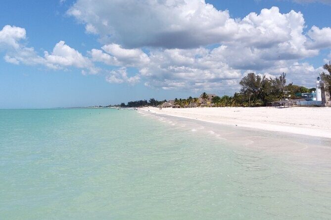 Excursion to Celestun, Swimming, Hiking & Boat Ride - Who Will Enjoy This Tour?