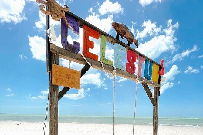 Excursion to Celestun, Swimming, Hiking & Boat Ride - Final Thoughts