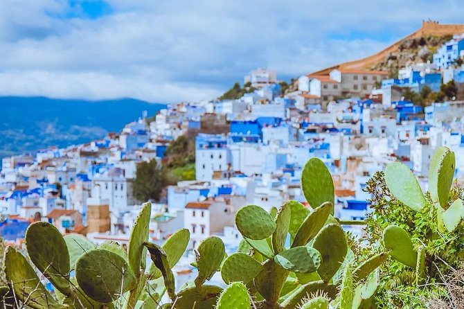 Excursion to Chefchaouen and Tetouan From Tangier - Flexible Cancellation and Booking Policies
