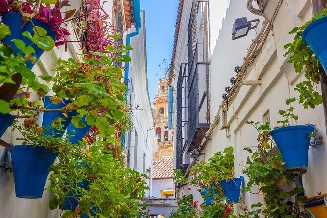 Excursion to Córdoba from Malaga - Key Points