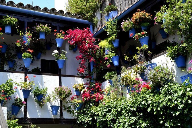 Excursion to Córdoba from Malaga - The Full Experience: What to Expect