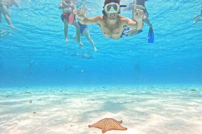 Excursion to Cozumel from Cancun - Key Points