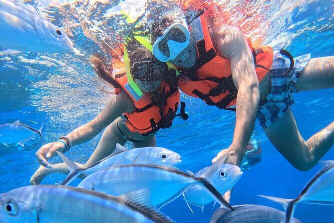 Excursion to Cozumel from Cancun - Frequently Asked Questions