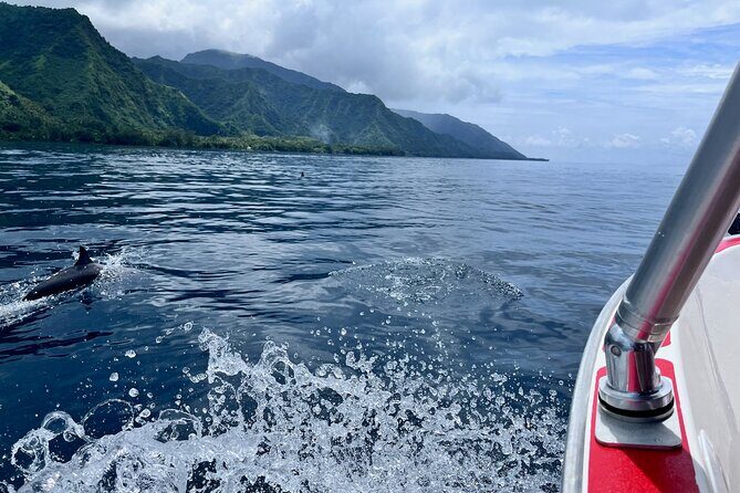Excursion to discover the authentic Tahiti Peninsula 4:00 - Authenticity & Reviews: What Visitors Say