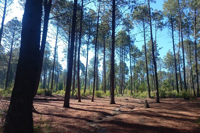 Excursion to La Cima de La Malinche from Mexico City - Frequently Asked Questions