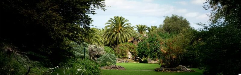 Excursion to Las Palmas: History and Culture - Key Points