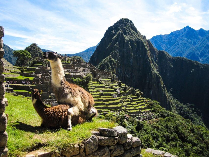 Excursion to Machu Picchu and Laguna Humantay - 4 Days 3 Nights - Accommodation and Meals