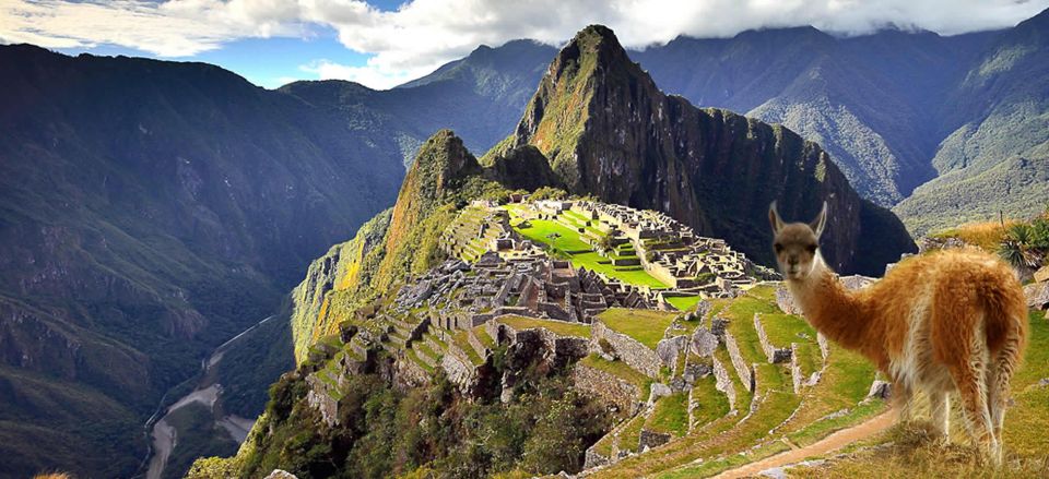 Excursion to Machu Picchu+Machu Picchu Mountain All Included - What to Expect