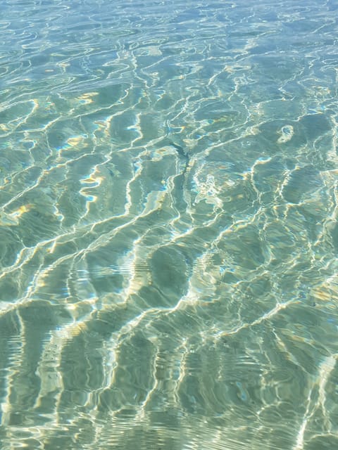Excursion to Porquerolles Island From Bandol - Booking Information
