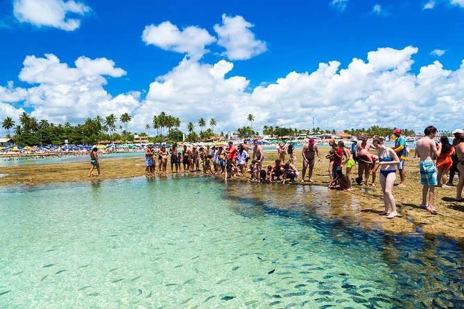 Excursion to Porto De Galinhas in Pernambuco - Trip Duration and Activities