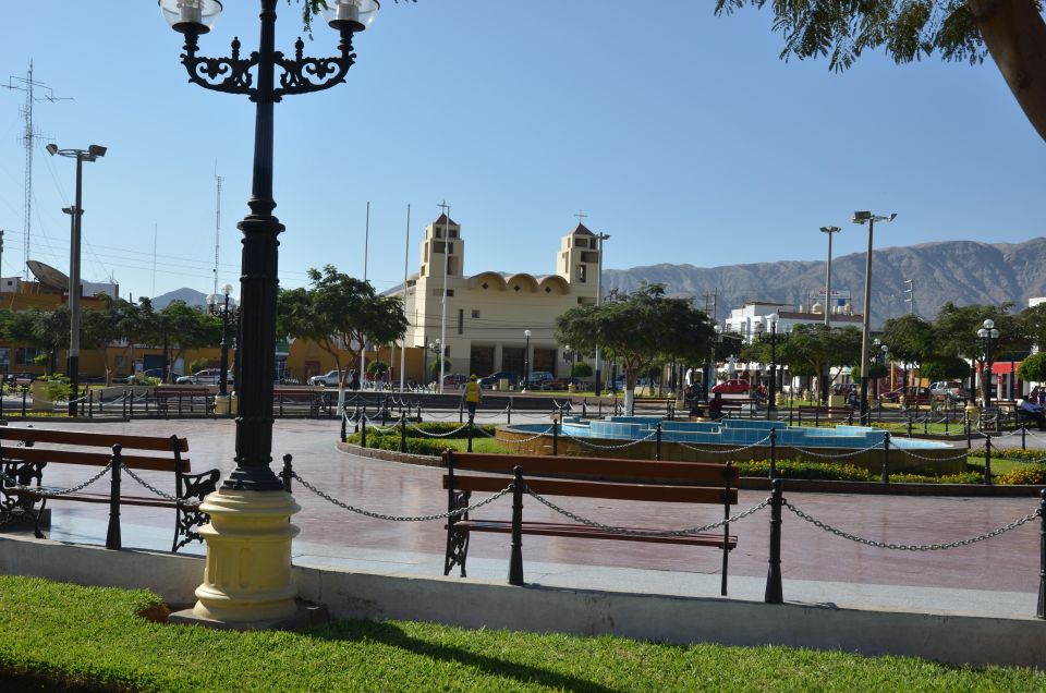 Excursion to San Fernando Bay + Sandboarding in Nazca - Key Points
