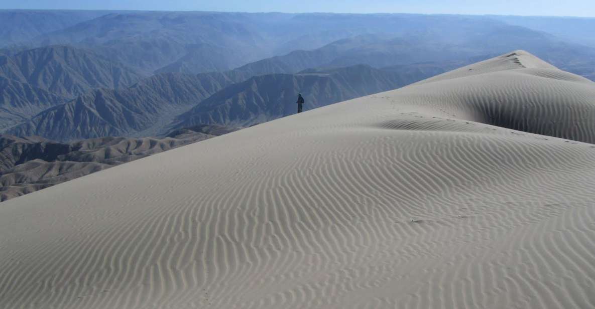 Excursion to San Fernando Bay + Sandboarding in Nazca - Sandboarding Adventure
