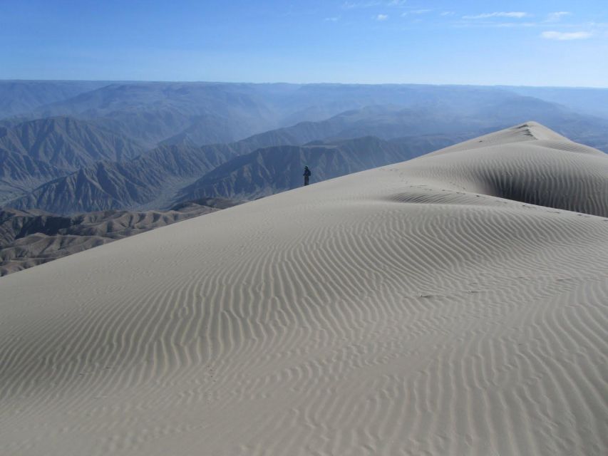 Excursion to San Fernando Bay + Sandboarding in Nazca - Wildlife and Biodiversity