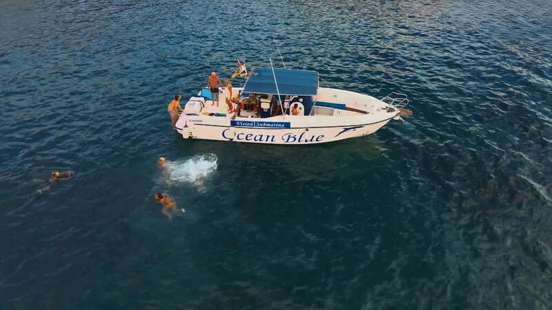 Excursion to see the whales - 3 Hours - Discovering the Whale Watching Experience in Tenerife: A Practical Review