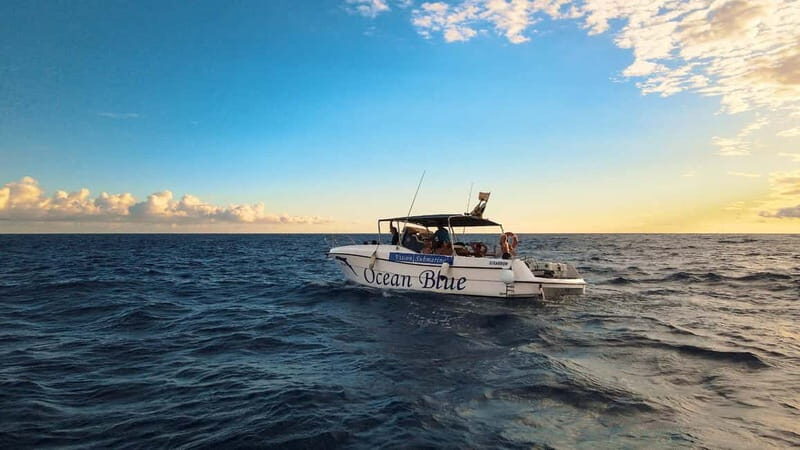 Excursion to see the whales - 3 Hours - Value and Pricing: What You’re Getting for Your Money