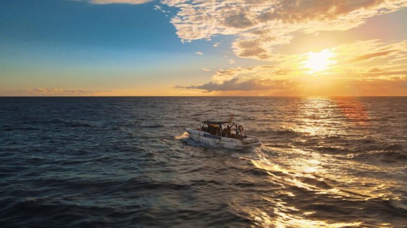 Excursion to see the whales - 3 Hours - The Itinerary in Detail: What Makes Each Stop Special