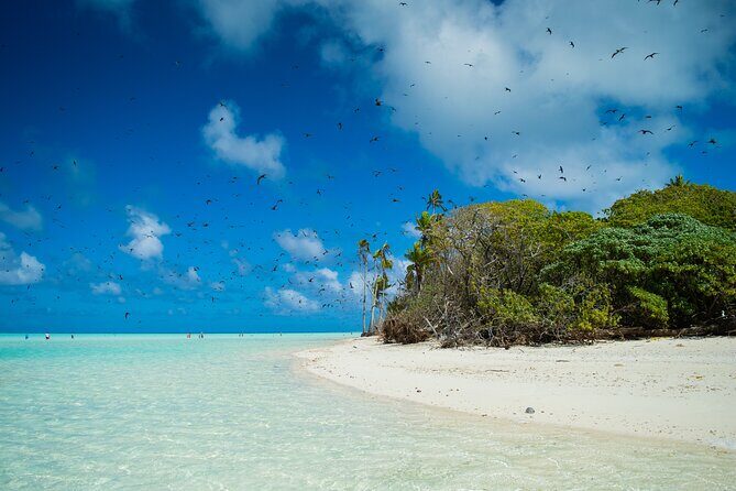 Excursion to Tetiaroa by Catamaran Visit Lunch Snorkeling - The Sum Up