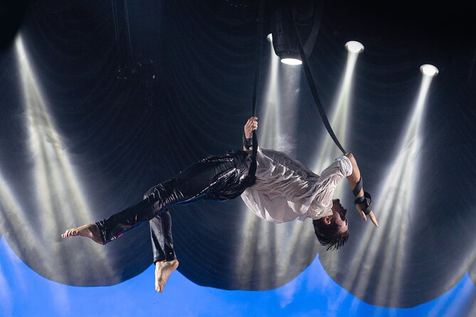 EXHIBIT - Acrobatics, Dance & Art - Ticket Information