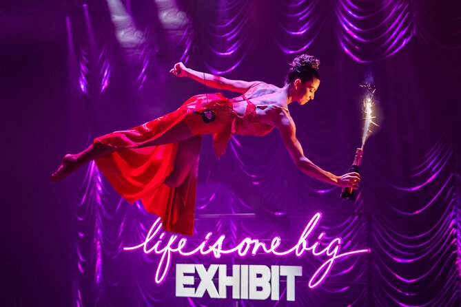 EXHIBIT - Acrobatics, Dance & Art - Accessibility and Accommodations