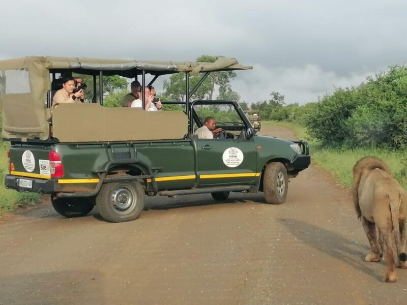 Exhilarating 2 Day Kruger Safari From Nelspruit - Accommodation and Amenities