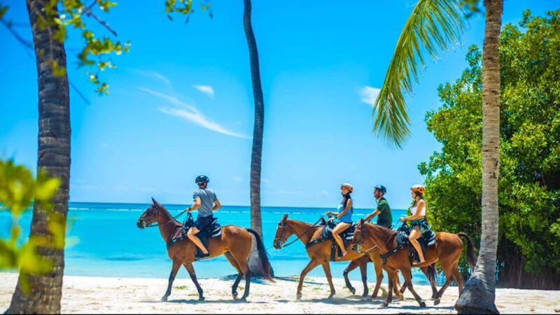 Exhilarating Buggy Tours: Discover Punta Cana Scenic Wonders - Authenticity and Client Feedback