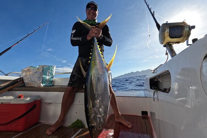 Exit fishing wholesale - Introduction