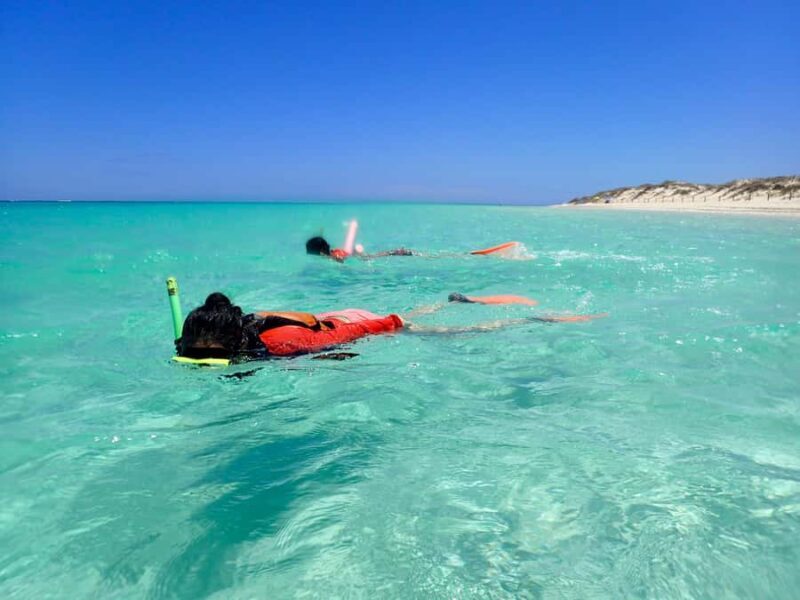Exmouth: Full day Ningaloo in a Day tour - What Makes This Tour Stand Out