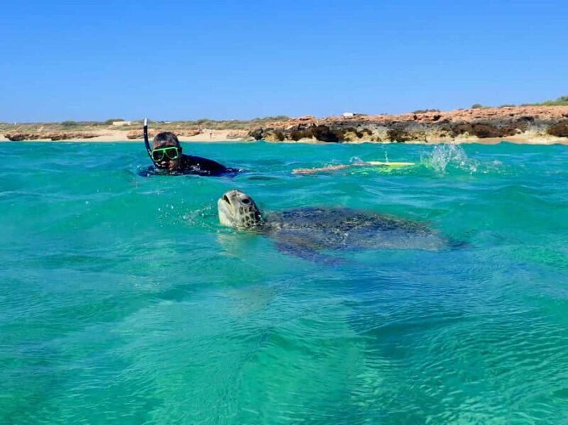 Exmouth: Half Day Turtle Kayak & Snorkel Tour - What Makes This Tour Special?