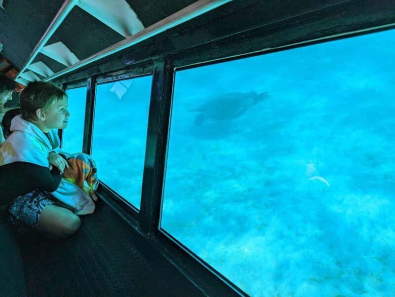 Exmouth: Ningaloo Semi-Submersible Glass Bottom Boat Tour - Final thoughts: Who Should Book This Tour?