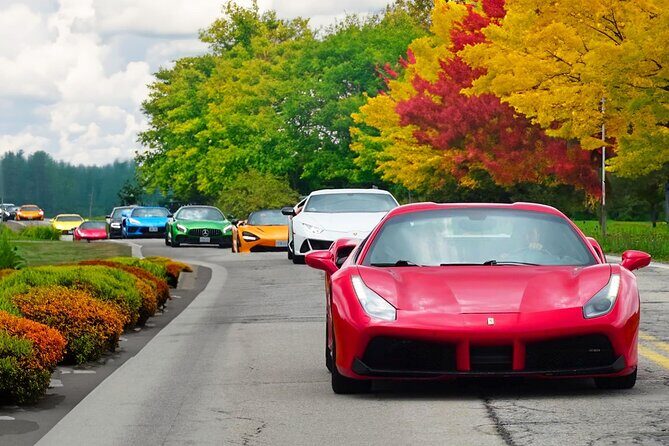 Exotic Car Driving Tours with Super Cars in Blue Mountain - Key Points