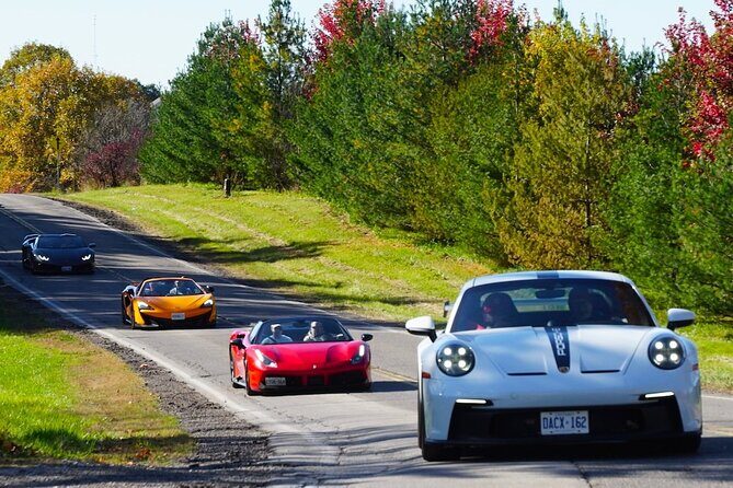 Exotic Car Driving Tours with Super Cars in Blue Mountain - The Sum Up