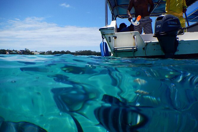 Exotic East of Mauritius: Full-Day Incl Ile Aux Aigrette & Blue-Bay Marine Park - Itinerary Highlights