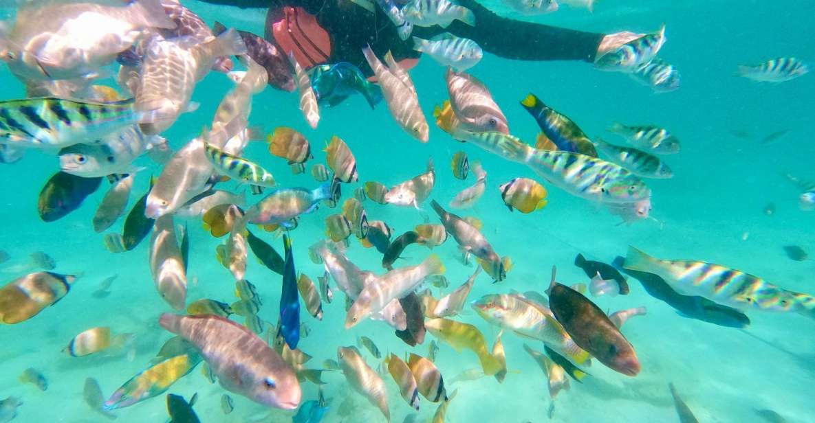 Exotic Escape Island : Pink Beach and Snorkeling Daily Tour - Key Points