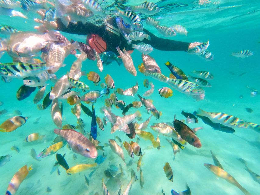 Exotic Escape Island : Pink Beach and Snorkeling Daily Tour - Itinerary and Destinations