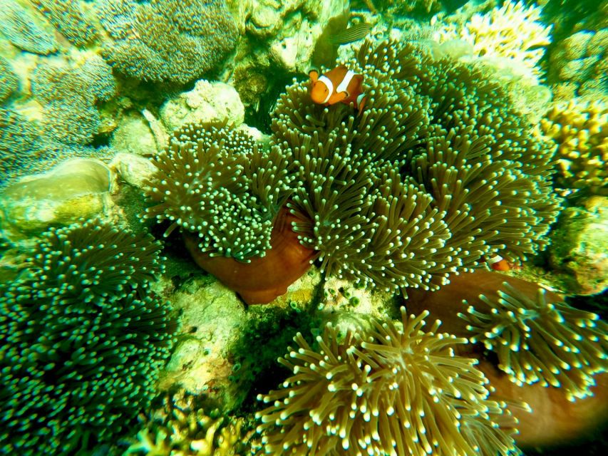Exotic Escape Island : Pink Beach and Snorkeling Daily Tour - Inclusions and Exclusions