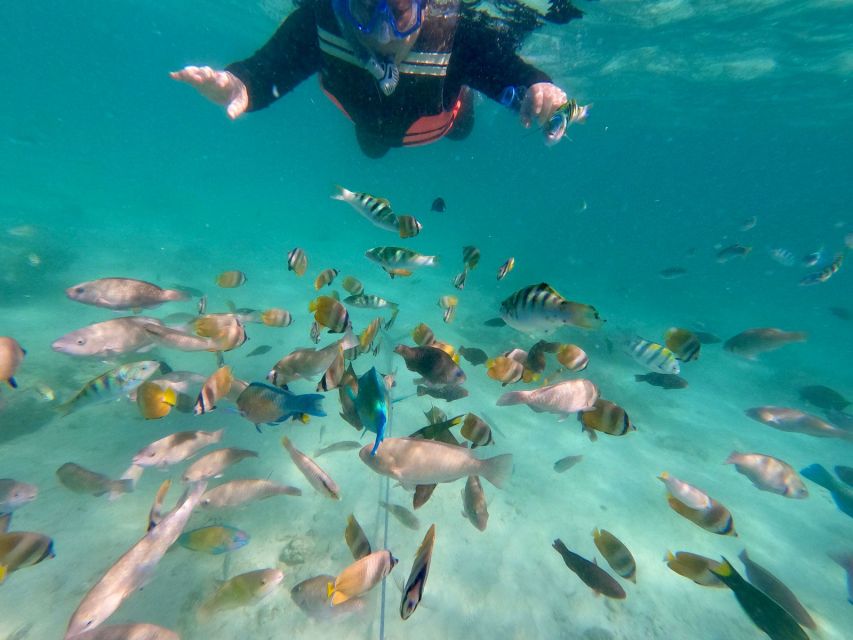 Exotic Escape Island : Pink Beach and Snorkeling Daily Tour - Marine Life and Coral Reefs