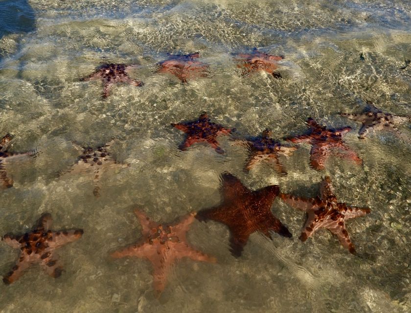 Exotic Escape Island : Pink Beach and Snorkeling Daily Tour - Scenic Sand Island
