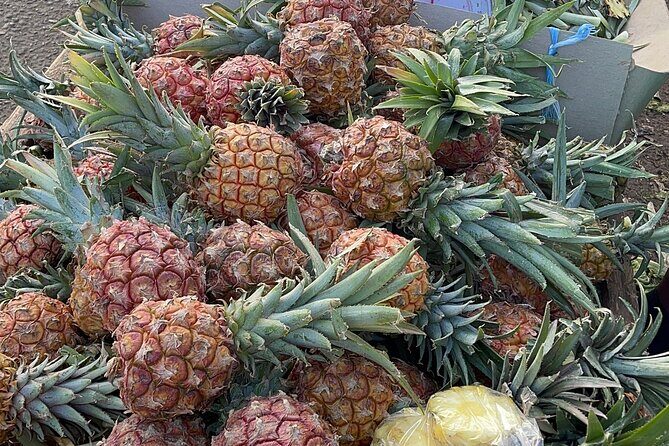 Exotic Full Day Kingston Culture Tour from Ocho Rios - The Sum Up